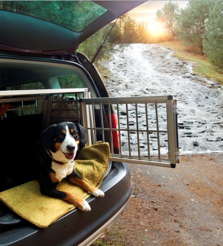 Reisen mit Hund im Auto